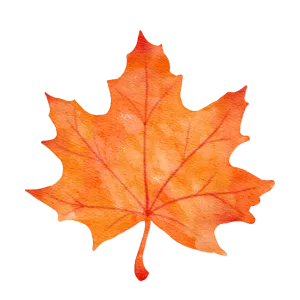 Watercolor painting of a vibrant orange maple leaf. Autumn foliage art. Fall season decor. Seasonal graphic design element. Dallas, TX.