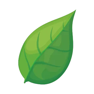 Green Leaf Illustration. Nature's beauty in a single leaf. Symbol of growth and freshness. Perfect for eco-friendly designs. Dallas, TX.